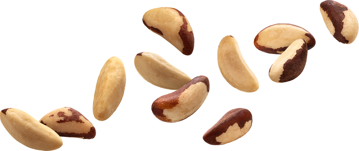 Brazil Nuts Falling 